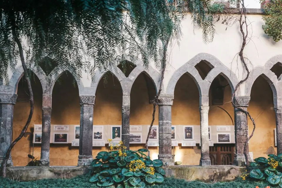 Limones maduros entre las hojas en un jardín en terrazas de Sorrento, con el Golfo de Nápoles al fondo